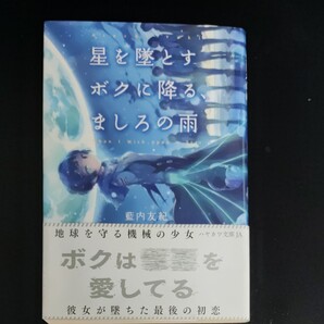 星を墜とすボクに降る、ましろの雨