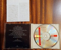 送料無料　即決　マイケル・ボルトン /ソウル・プロバイダー　MICHAEL BOLTON/SOUL PROVIDER　国内盤CD_画像3