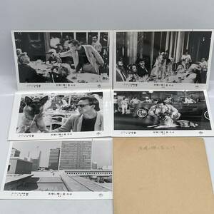 Art hand Auction ★Rare!!★Movie Shining Star of Friendship K-9 /Set of 6 still photos/Photo/No color/Showa Retro/Original item/Not for sale/Snap/For advertising/Hard to obtain, movie, video, Movie related goods, photograph