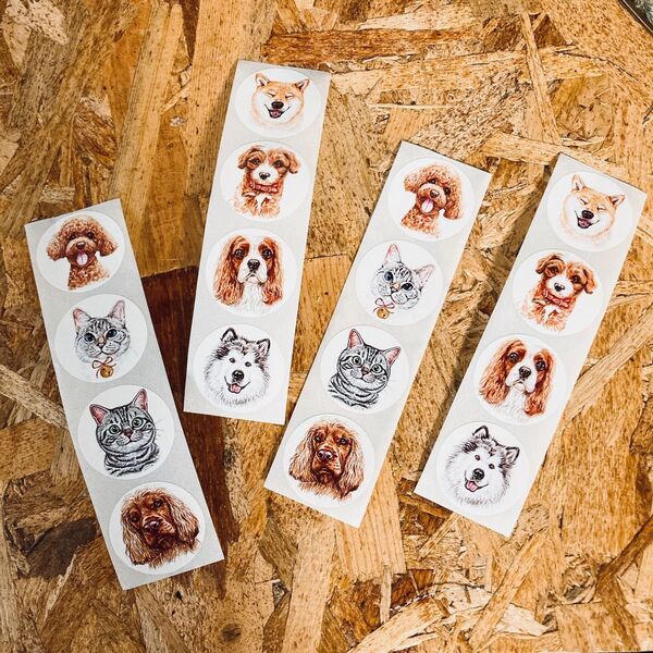 犬 猫 シール80枚セット