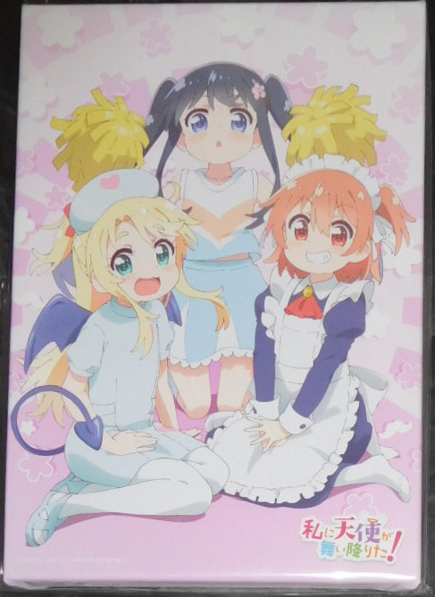 ビルディバイド #FFFFFF 全巻特典 キャラファインキャンバスアート