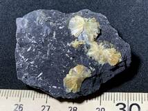 【超稀産】湖南省産アンチモン華・antimony bloom・31g（中国産鉱物標本）_画像6