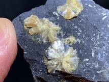 【超稀産】湖南省産アンチモン華・antimony bloom・31g（中国産鉱物標本）_画像4