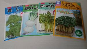 野菜の種　４種類　(青しそ　時なし小かぶ　かいわれ大根　かいわれブロッコリー)