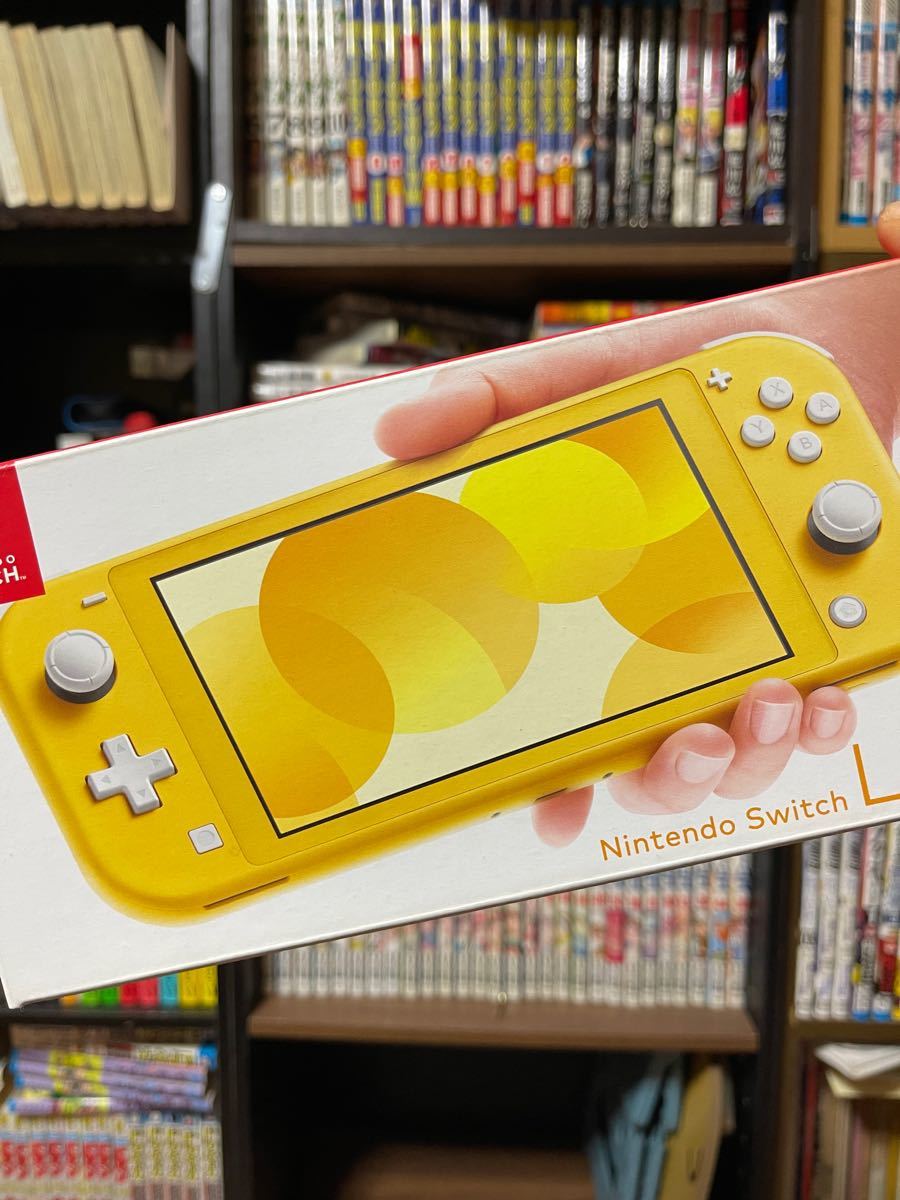 ニンテンドースイッチライト ターコイズ Switch lite 本体 充電器