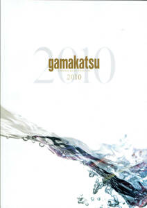 gamakatsuga мака tsu2010 отчетный год объединенный каталог 