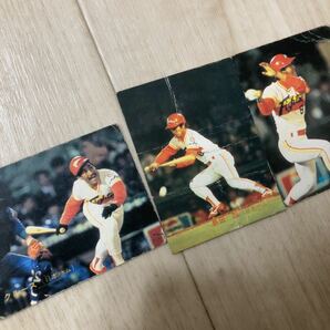 カルビー プロ野球カード 1983年 28枚 まとめ プロ野球チップス 当時物 プロ野球チップスカードの画像5