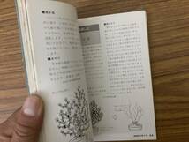 鉢植えの庭木　実用文庫 /Z104_画像6