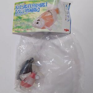 エドジキン　原色鑑賞魚図鑑 フィギュア ミニチュア 金魚 マスコット ユージン キンギョ 　ガチャ 　