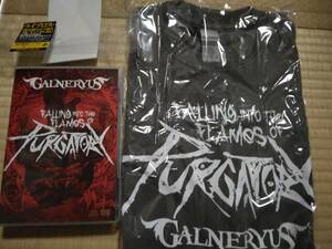 【限定盤 Ｔシャツ（M） DVD CD2枚】　GALNERYUS　 FALLING INTO THE FLAMES OF PURGATORY　ガルネリウス