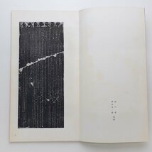 東晋 王羲之 集字聖教序 日本名跡叢刊 二玄社 書 書道_画像4