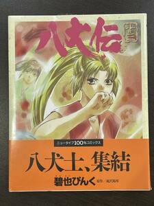 ★【希少本 A5ワイド版 マンガ】THE 八犬伝 13 碧也ぴんく ニュータイプ100%コミックス★初版 新品・デッドストック