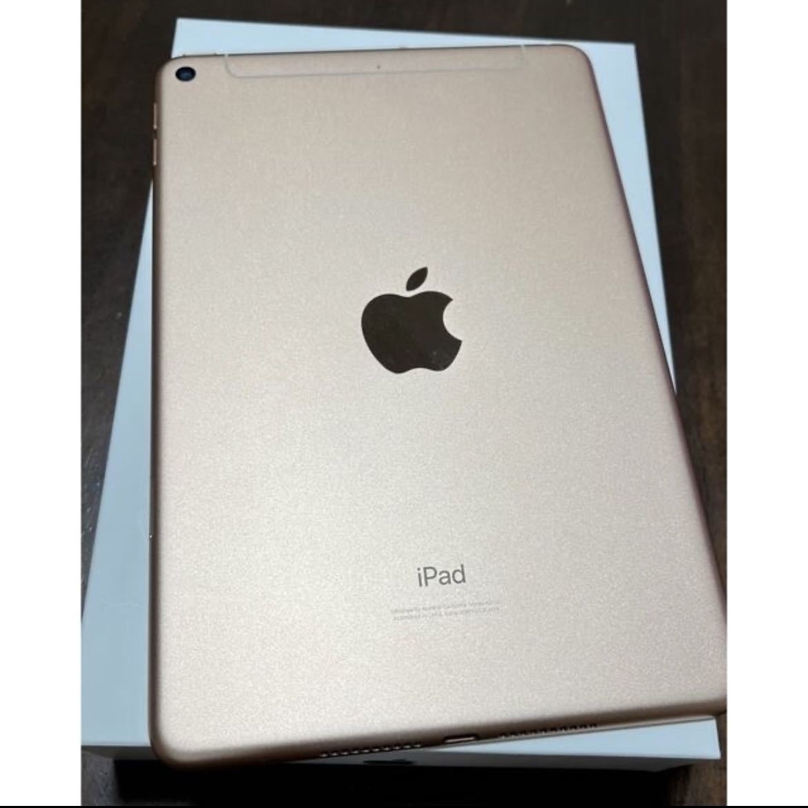 Apple iPad mini 7.9インチ 第5世代 Wi-Fi+Cellular 64GB 2019年春