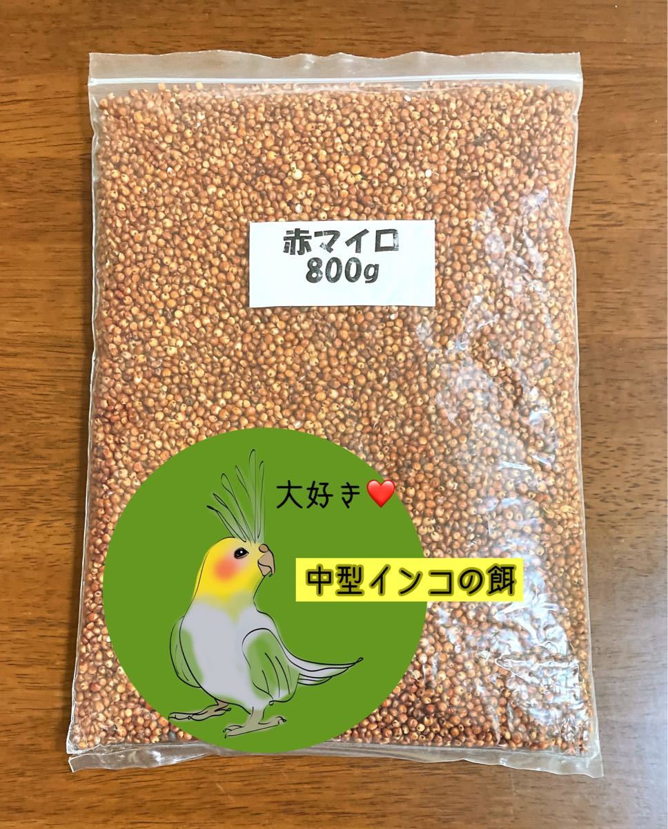 インコ用アクリルケース ショッピング公式店 www.m-arteyculturavisual.com