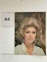 P06-44 / 【 未使用 】カトリーヌ・ドヌーヴ CATHERINE DENEUVE　ポスター 88cm×60.5cm レア品_画像2