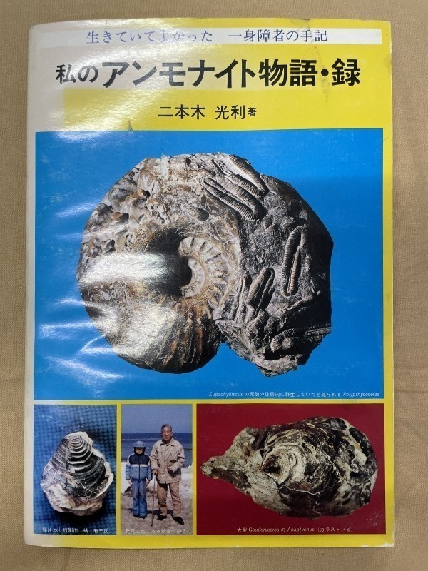 私のアンモナイト物語の値段と価格推移は?|2件の売買情報を集計した