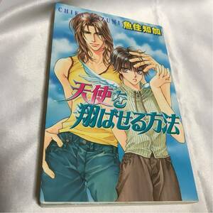 天使を翔ばせる方法 ◇ 魚住 知加 やまねあやの