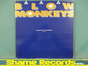 The Blow Monkeys ： Some Kind Of Wonderful 12'' // 5点で送料無料