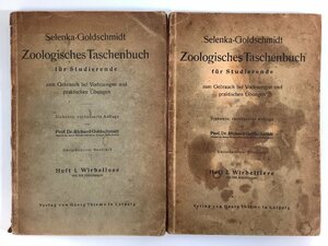 【まとめ】ドイツ語の動物学テキスト　2冊セット　洋書/生物学/脊椎動物/無脊椎動物/1923年発行【ta05j】