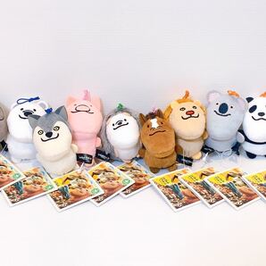 シャクレルプラネット ぷちマスコット コンプセット