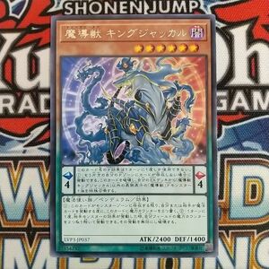 15651☆遊戯王☆ 魔導獣 キングジャッカル 1枚 レア LVP3 数量3