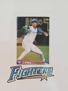 NPB カルビープロ野球チップス 2022年 第3弾 レギュラーカード 北海道日本ハムファイターズ 207 上原健太 背番号20 