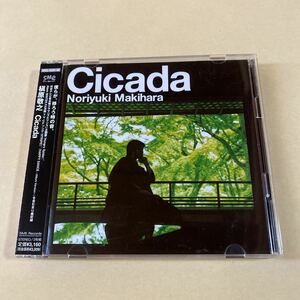 槇原敬之 CD+SCD 2枚組「Cicada」