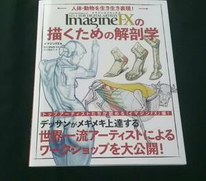 イマジンFXの描くための解剖学　初版　アニメーション　人体・動物　美術　絵画