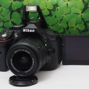 【美品】Wifi搭載♪自撮りOK ニコンD5300 2416万画素標準レンズ 神コスパのおすすめの一台♪