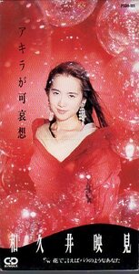 * prompt decision CD* Wakui Emi / Akira . possible ../1991 year work /3rd single 