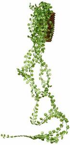 ケーアイジャパン インテリアグリーン 造花 観葉植物 光触媒 フェイクグリーン ビーンバイン 壁掛け