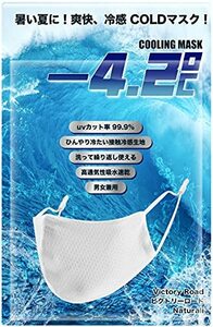 Cooling Mask マスク 冷感 メッシュ スポーツ用 ひんやり 紐調整可能 1枚入り 洗えて繰り返し利用可能 男女兼用 レギュラー サイズ