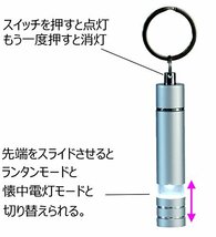 キーホルダー付き ミニ LED 懐中電灯 ストレッチキーライト 6490_画像2