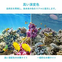 LEDGLE 水槽ライト 8W アクアリウム ライト 30～40CM水槽対応 40LED(5青35白) LED 魚ライト_画像4