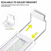 ledmomo 水槽ライト 20-30cm水槽対応 白/青 24LED 調節可能 水槽照明 長寿命 省エネ_画像2
