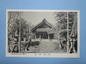 j3261戦前鹿児島絵葉書　南洲神社