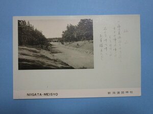 e2758新潟県　新潟護国神社絵葉書