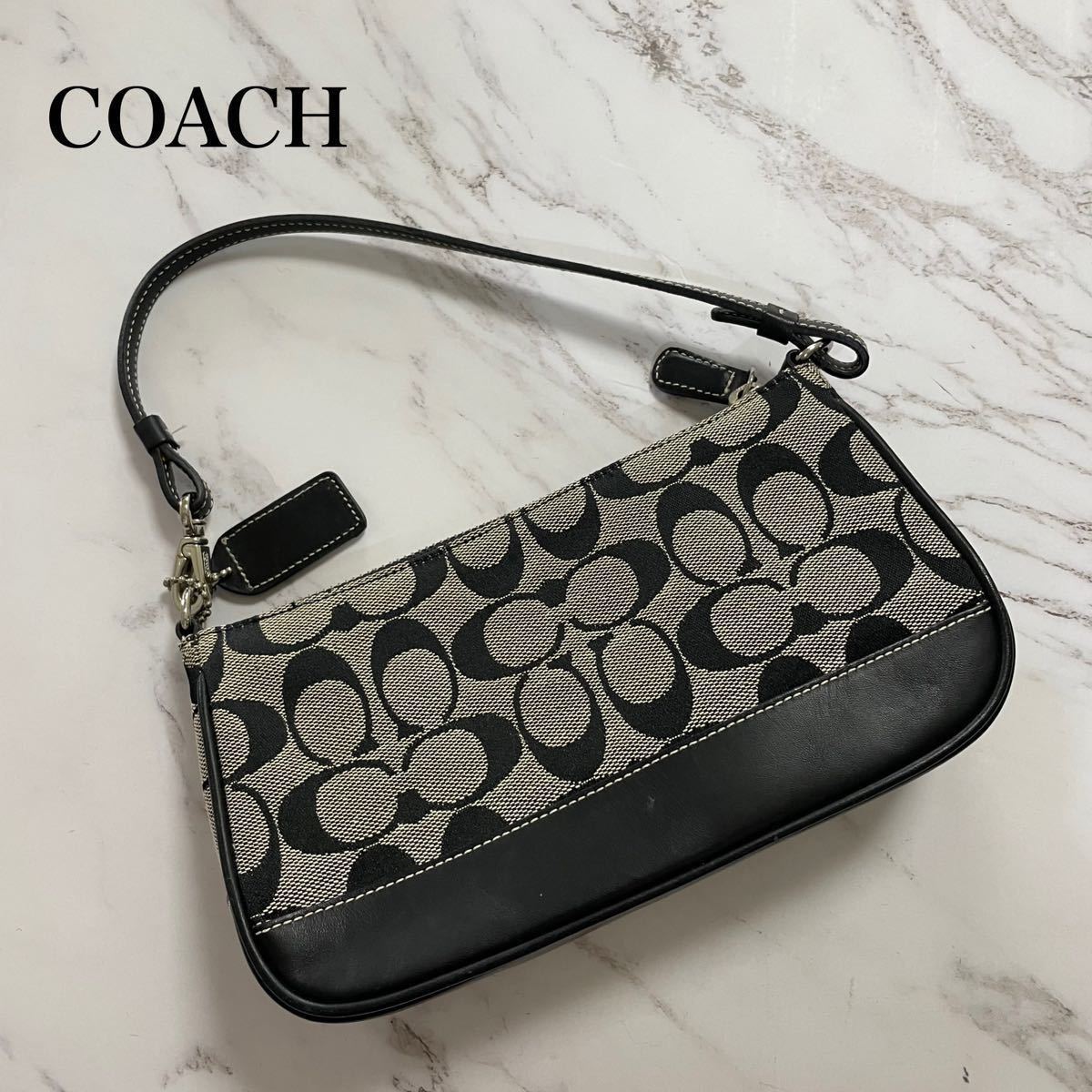 COACH コーチ バニティ ポーチ 肩掛け スネーク neuroid.uprrp.edu