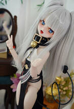 【RIRIdoll】DDH-10 SW _画像2