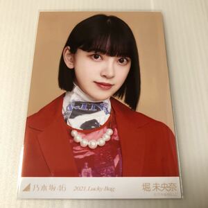 乃木坂46 堀未央奈「2021.Lucky Bag」生写真1枚。