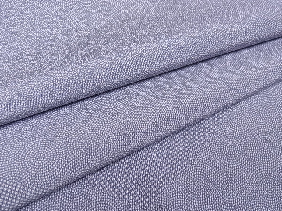 江戸小紋未使用品/袷/特定三百四拾選/服部光擴/身丈