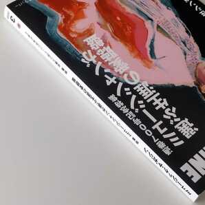 【ミュージシャンが選ぶ生涯の愛聴盤 2020年3月号】MUSIC MAGAZINE ミュージック・マガジン ジェイムス・テイラー,キング・クルールの画像3