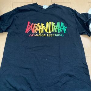 WANIMA ロゴTシャツ Tシャツ TOUR Tee 