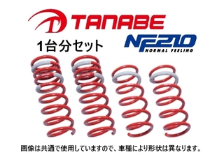 タナベ NF210 ダウンサス (1台分) N-BOX+ カスタム JF2 TB　JF2PNK