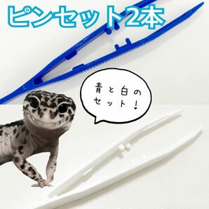好評オマケ付★ピンセット(2色セット)/爬虫類両生類/レオパ