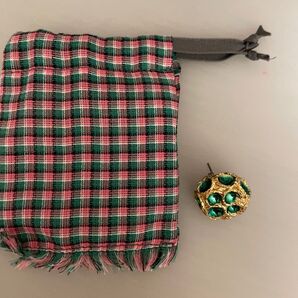 アカネウツノミヤ ビームス ピアス