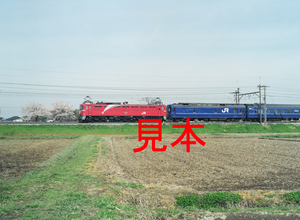 鉄道写真、645ネガデータ、159229590009、EF81-93＋北斗星、JR東北本線、蓮田〜東大宮、2010.04.09、（4564×3342）