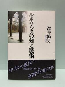ルネサンスの知と魔術　　　著：澤井繁男　　　発行：山川出版社