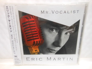 国内盤　エリック　マーティン　　MR.　VOCALIST