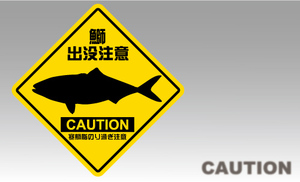 魚ステッカー（ブリ出没注意)防水,UVカット,釣り,鰤（中サイズ：縦14cm×横14cm）